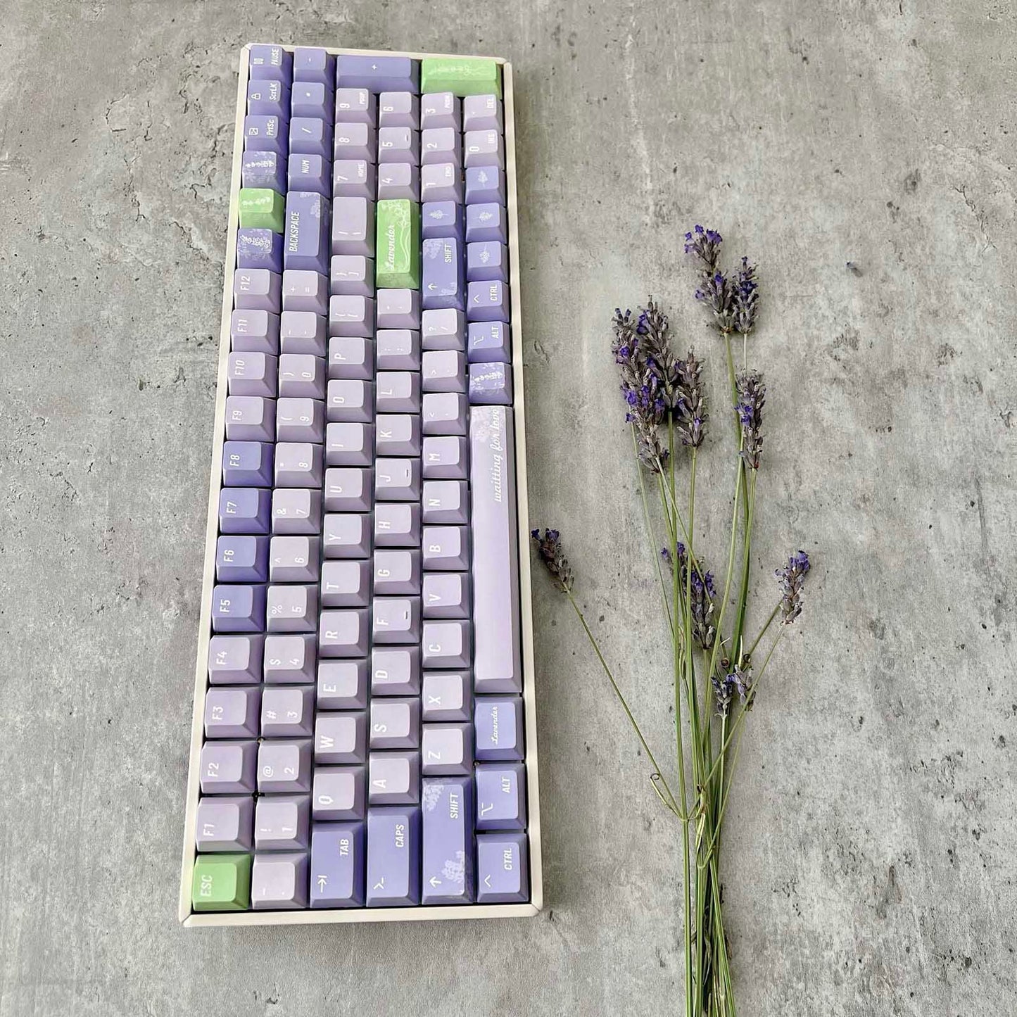 Lavender Keycap Set